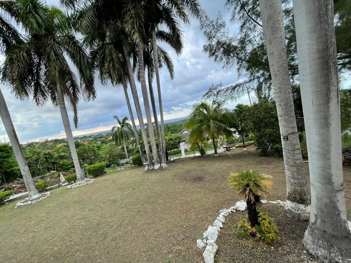 호스텔 The Lodge @ Peaceful Palms 몬테고 베이